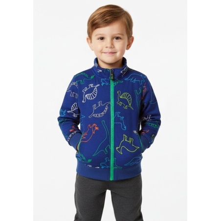 Chlapecká tepláková mikina DINOSAURUS | Zateplená, bavlna