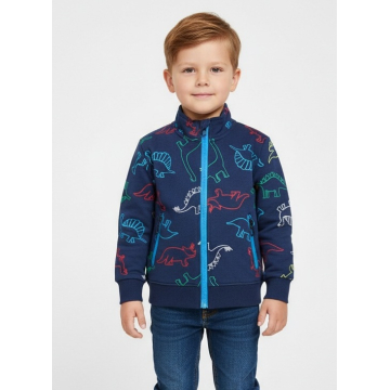 Chlapecká tepláková mikina DINOSAURUS | Zateplená, bavlna