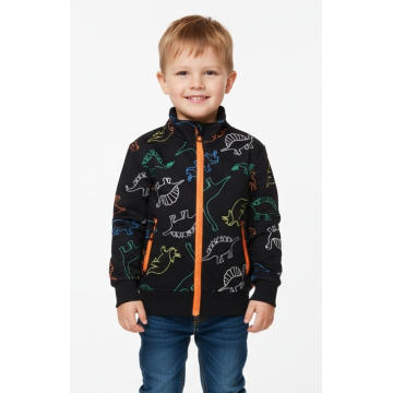Chlapecká tepláková mikina DINOSAURUS | Zateplená, bavlna