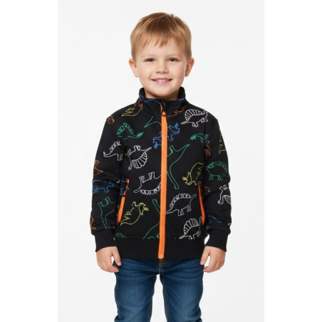 Chlapecká tepláková mikina DINOSAURUS | Zateplená, bavlna