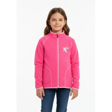Dívčí fleecová mikina s koníčkem | Hřejivá & melír