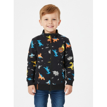 Chlapecká mikina DINOSAURUS | Bavlněná, pohodlná, stylová