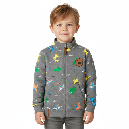Chlapecká mikina DINOSAURUS | Bavlněná, pohodlná, stylová