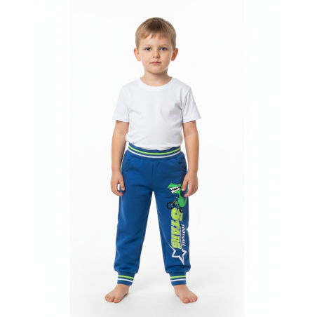 Chlapecké tepláky s dinosaurem | Pohodlné a stylové