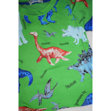 Chlapecké letní tričko s dinosaury | Bavlna | Krátký rukáv