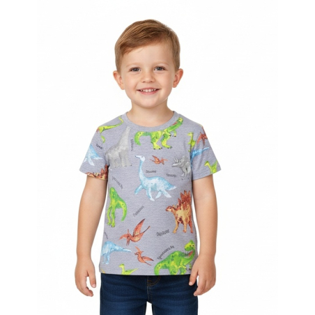 Chlapecké letní tričko s dinosaury | Bavlna | Krátký rukáv