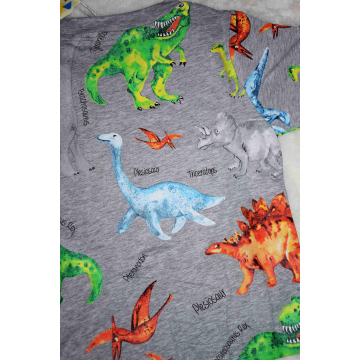 Chlapecké letní tričko s dinosaury | Bavlna | Krátký rukáv