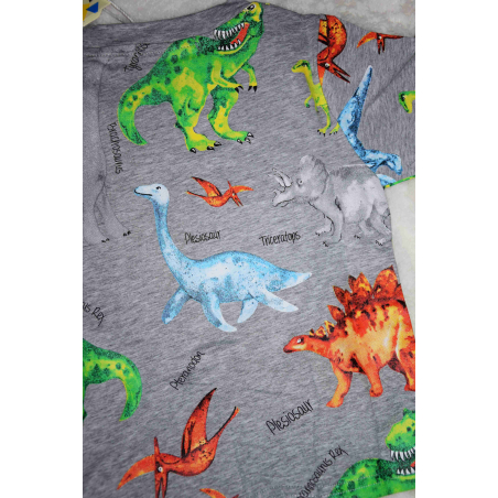 Chlapecké letní tričko s dinosaury | Bavlna | Krátký rukáv