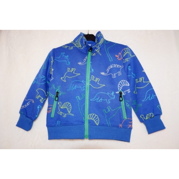 Chlapecká tepláková mikina DINOSAURUS | Zateplená, bavlna