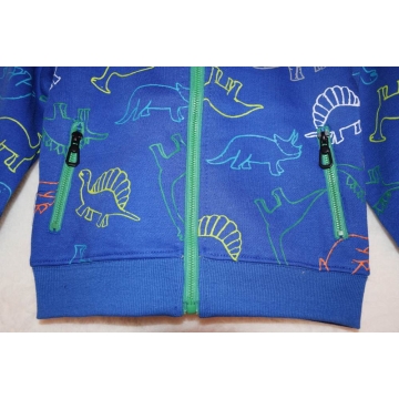 Chlapecká tepláková mikina DINOSAURUS | Zateplená, bavlna