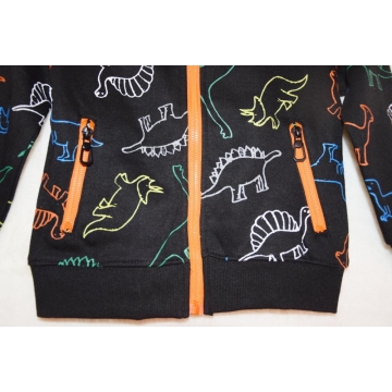 Chlapecká tepláková mikina DINOSAURUS | Zateplená, bavlna