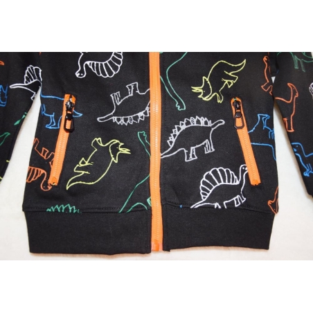 Chlapecká tepláková mikina DINOSAURUS | Zateplená, bavlna