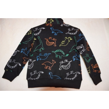 Chlapecká tepláková mikina DINOSAURUS | Zateplená, bavlna