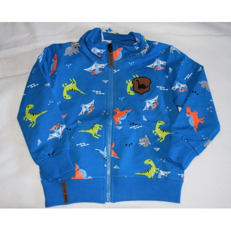 Chlapecká mikina DINOSAURUS | Bavlněná, pohodlná, stylová