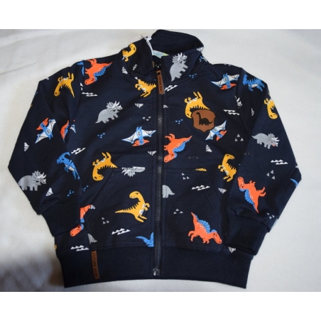 Chlapecká mikina DINOSAURUS | Bavlněná, pohodlná, stylová