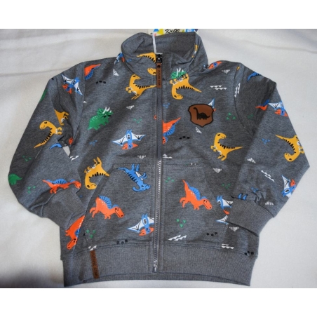 Chlapecká mikina DINOSAURUS | Bavlněná, pohodlná, stylová
