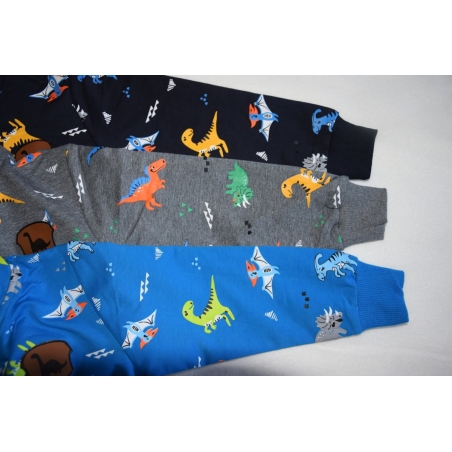 Chlapecká mikina DINOSAURUS | Bavlněná, pohodlná, stylová