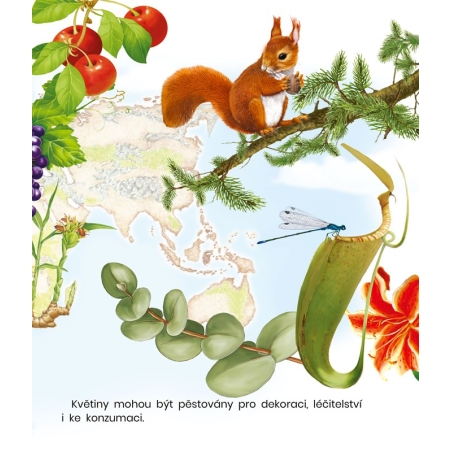 Rostliny odkud se berou ? Leporelo