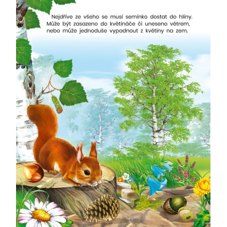 Rostliny odkud se berou ? Leporelo