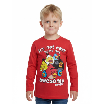 Chlapecké tričko dlouhý rukáv   ANGRY BIRDS